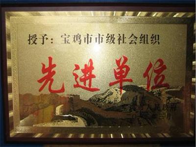 社会组织先进单位